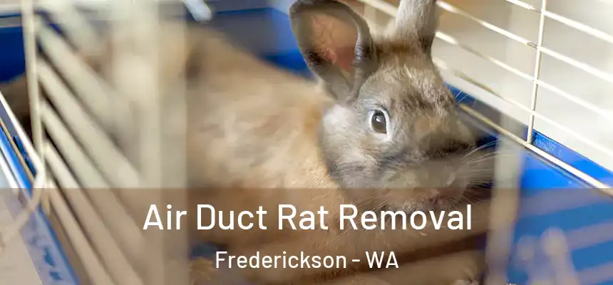  Air Duct Rat Removal Frederickson - WA