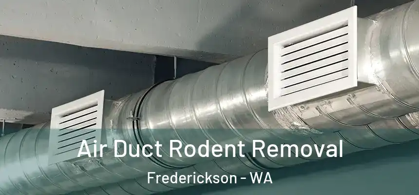 Air Duct Rodent Removal Frederickson - WA