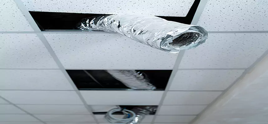 Our Air Duct Pet Hair Removal Services in Frederickson, WA