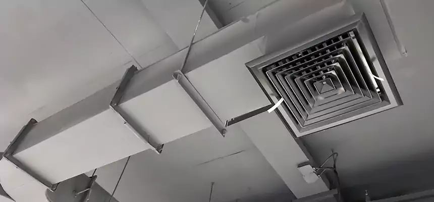 Restorative Allergy Relief Vent Cleaning – Coil, Blower & Housing Detail in Frederickson