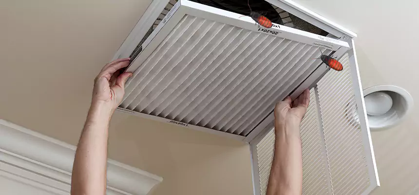 Our Insect Removal from Air Ducts Services in Frederickson, WA