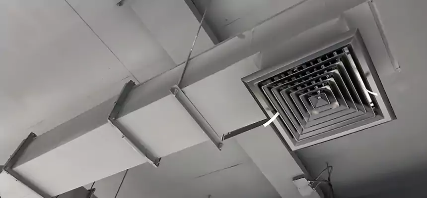 Our Rodent Droppings In Vents Services in Frederickson, WA