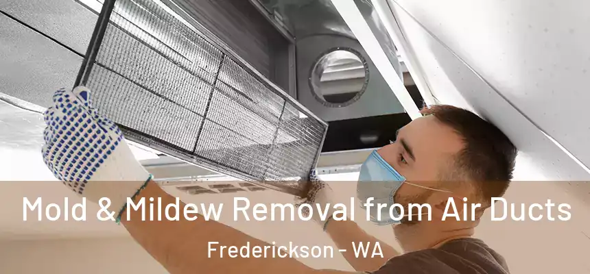  Mold & Mildew Removal from Air Ducts Frederickson - WA