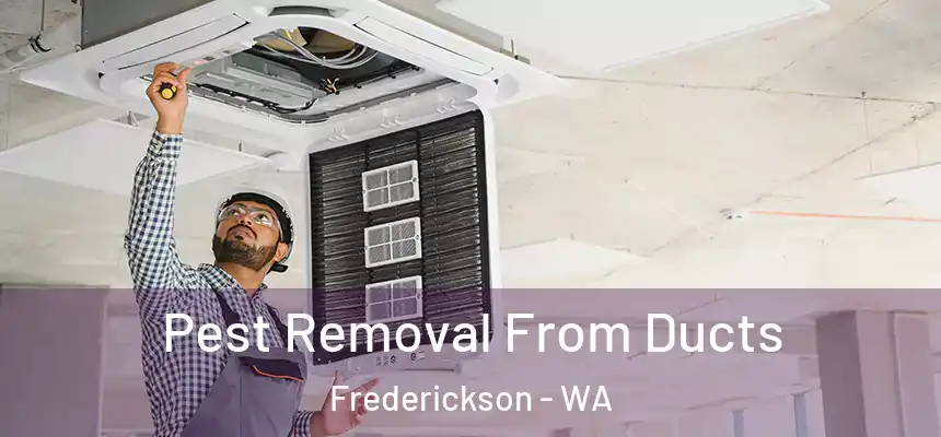  Pest Removal From Ducts Frederickson - WA