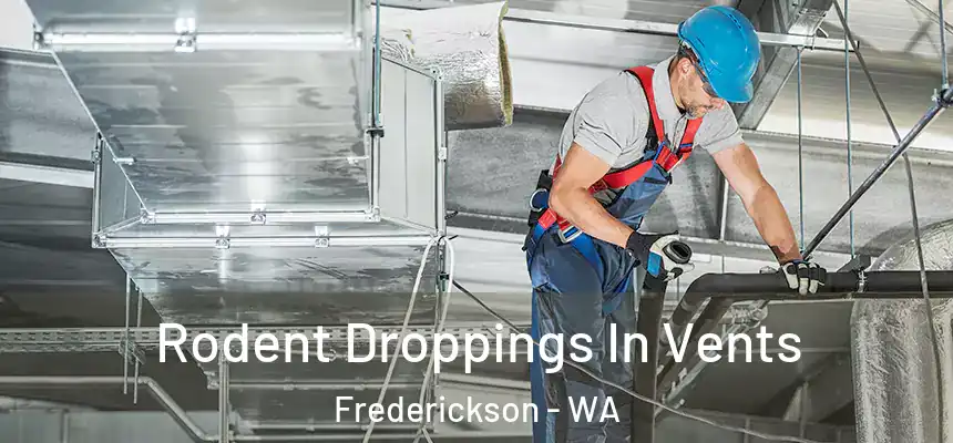  Rodent Droppings In Vents Frederickson - WA