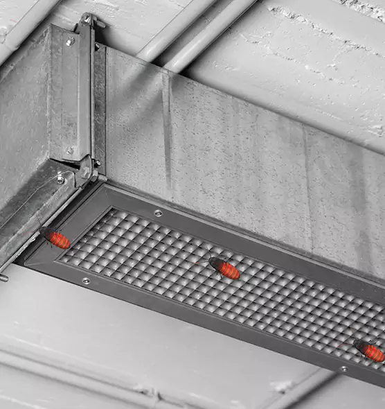 Affordable Insect Removal from Air Ducts in Frederickson, WA