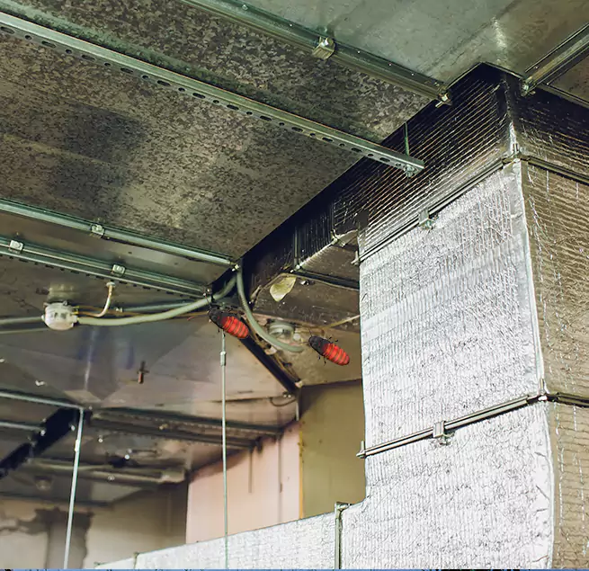 Why Homeowners & Businesses Trust Us in Frederickson, WA?