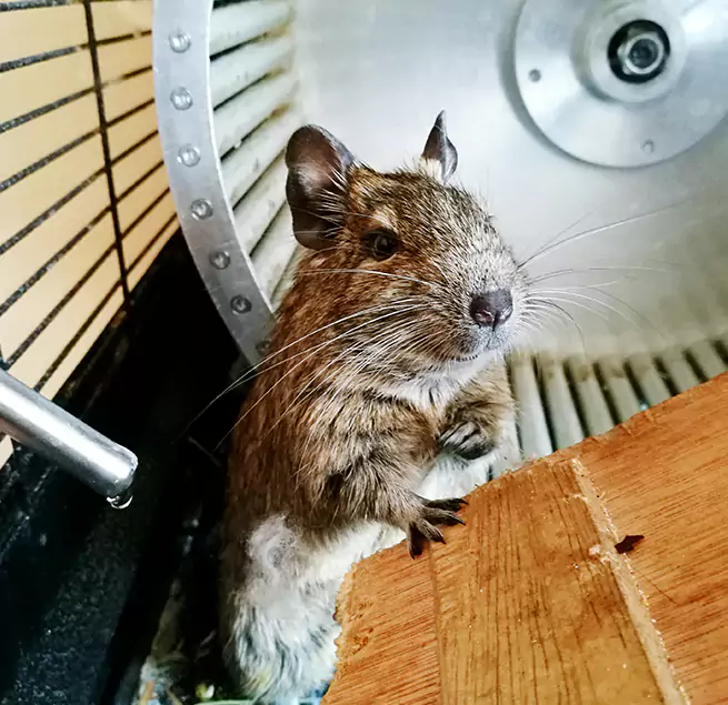 Why Homeowners & Businesses Trust Us Frederickson, WA?